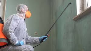 Best Commercial Mold Inspection  in Elida, OH