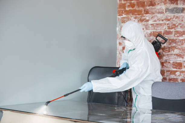 Best Biohazard Mold Removal  in Elida, OH