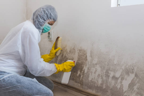 Mold Remediation for Rental Properties in Elida, OH